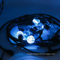 LS-169   LED cafe holiday string lights